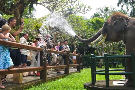 Elephant Safari Ride by Mason Adventures Bali